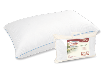 Oreiller Mémoire de Forme Plumes Et Duvet Moshy